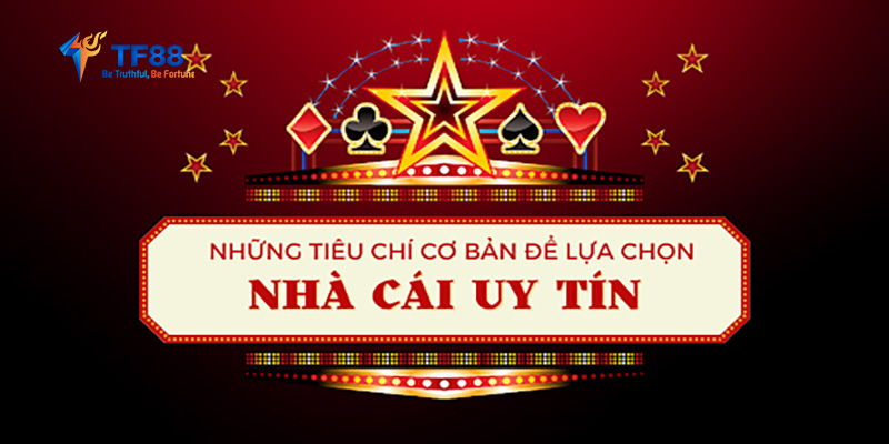 Blog TF88 - Cập nhật các kiến thức casino hấp dẫn